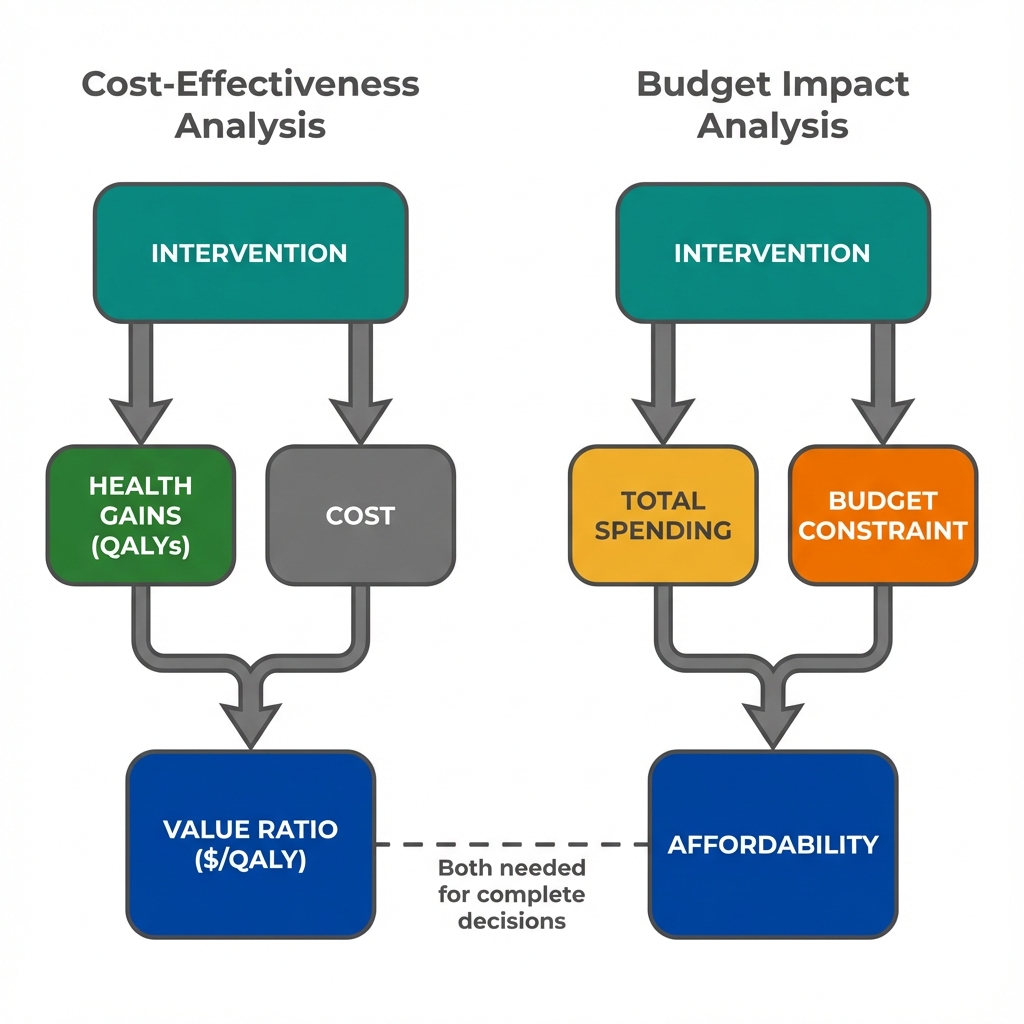 Diagram comparing Cost-Effectiveness Analysis (value per dollar) with Budget Impact Analysis (total dollars needed) as complementary perspectives on the same intervention